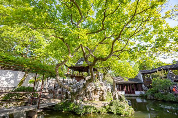 原創蘇州退思園藏在江南古鎮中的世界文化遺產為小型園林的典範