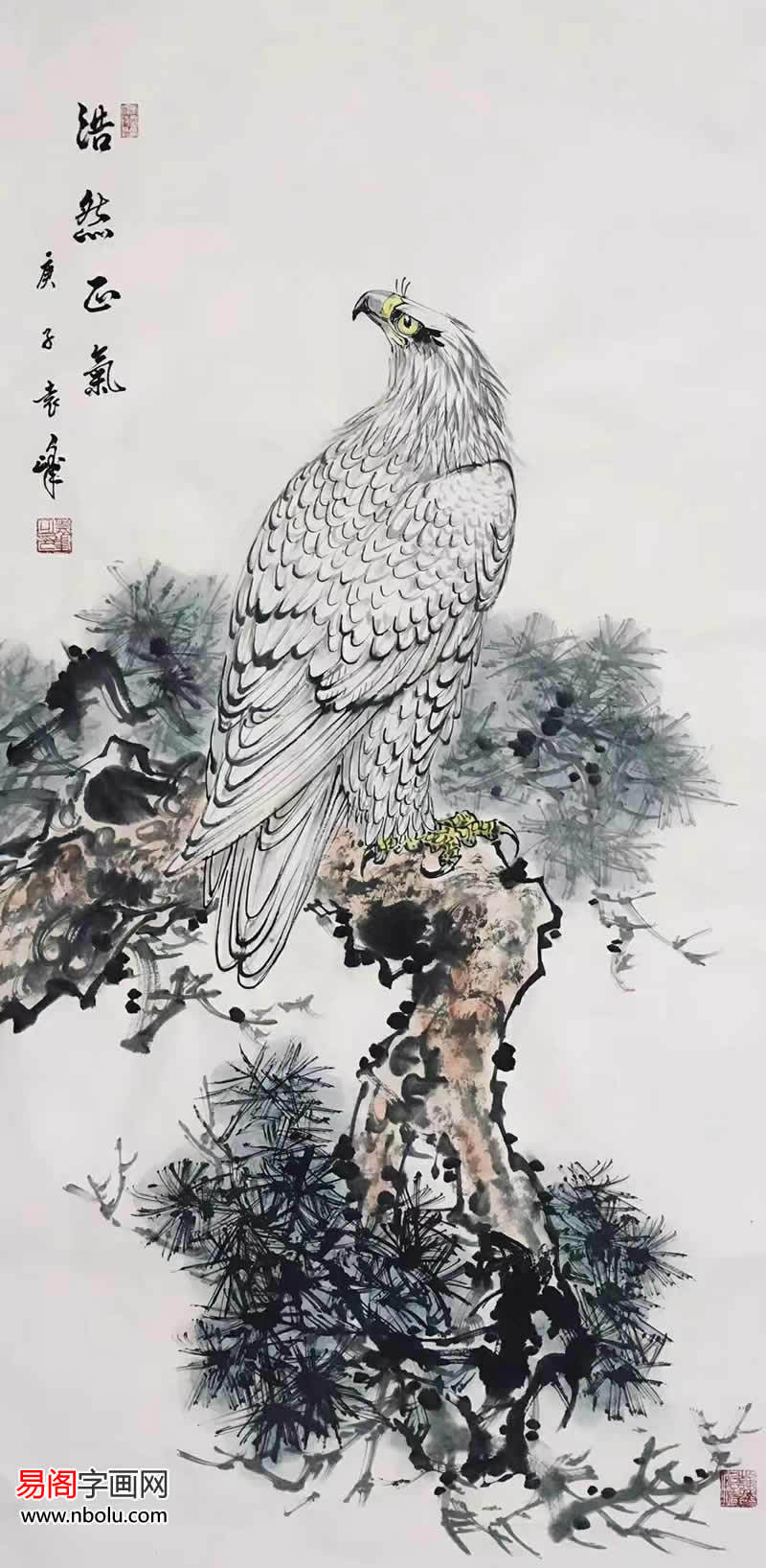 笔下雄鹰,展翅高飞寓意宏图大展之势,盘踞松石,寓意高瞻远瞩,他的雄鹰