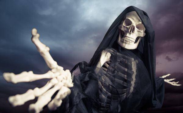 肌肉组织和内脏基本都没了,此时变成了一具真正意义上的骷髅.