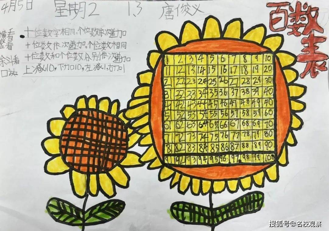 数字变变变手抄报图片