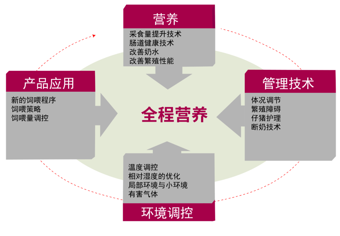 雨生百谷,再谈母猪