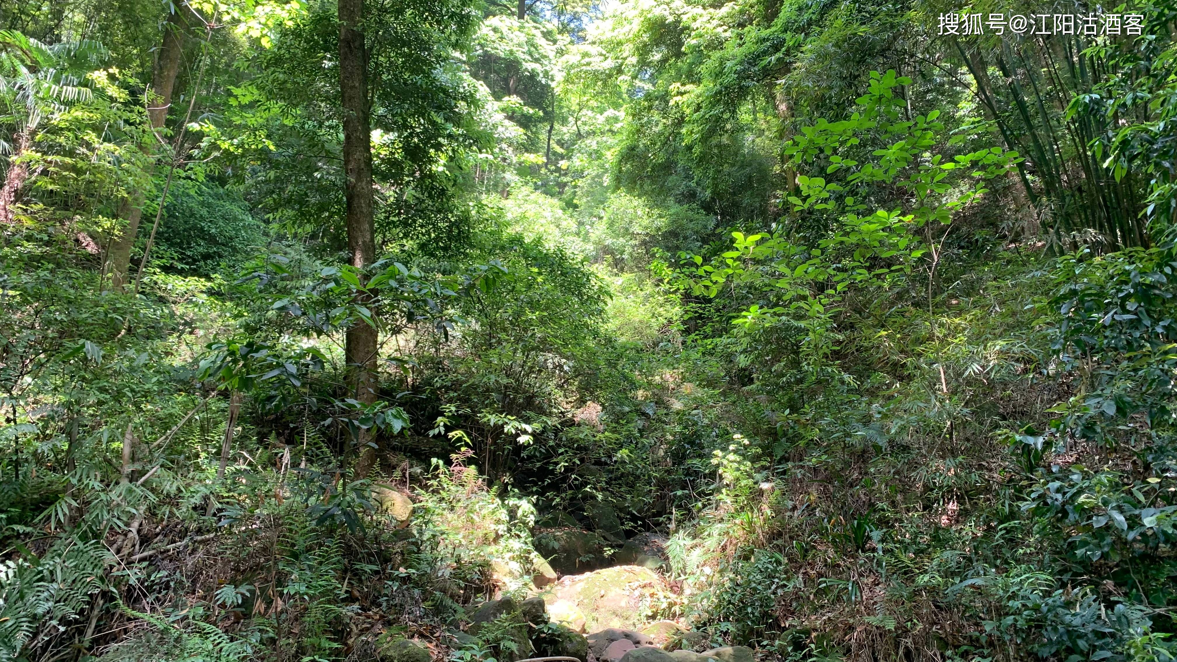 泸州方山地图图片