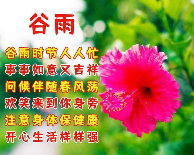 谷雨节气祝福语,愿你收获幸福每一天!