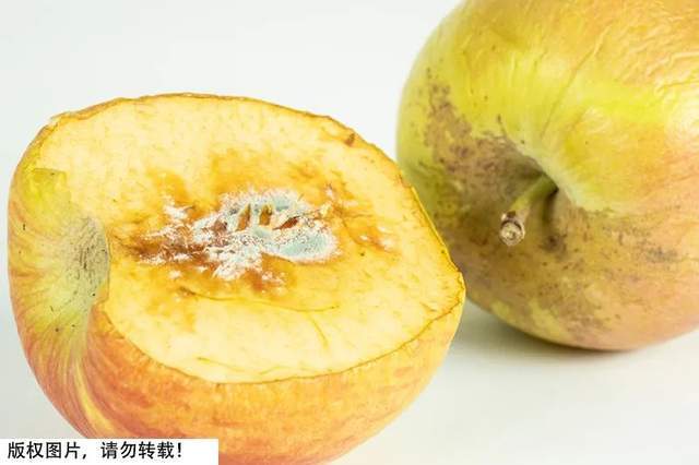 有强致癌性!这样的水果千万别吃,一对夫妻因此同患肝癌
