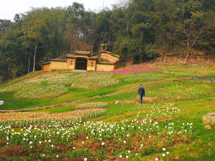 四川“城市后花园”，拥有花海栈道2000米，被誉为“百花之园”