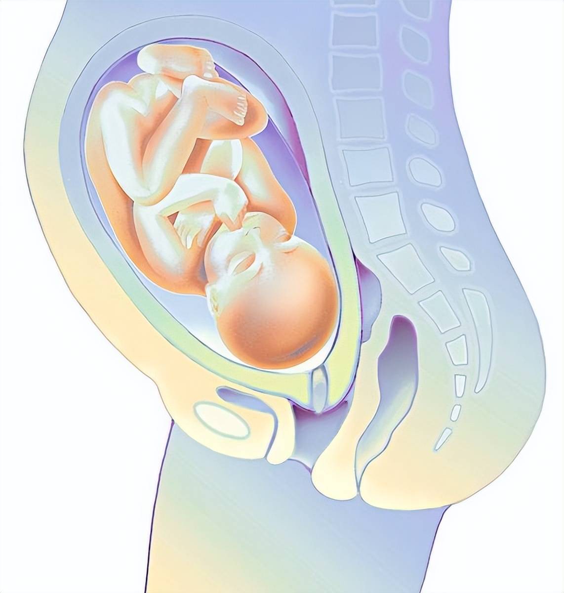 宫内囊性结构图片