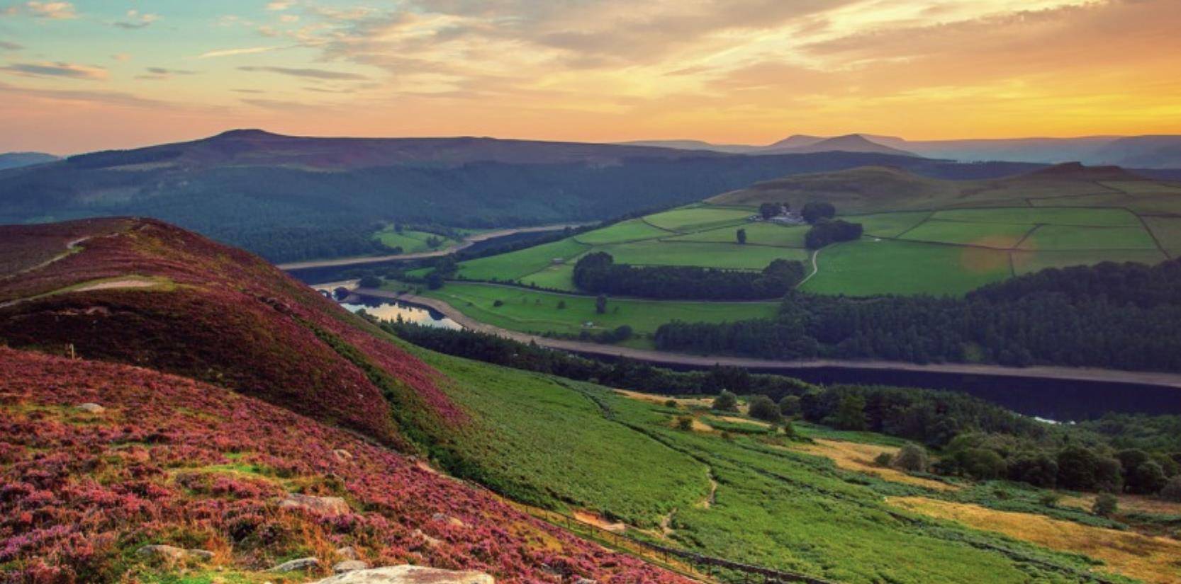 原创表面自视清高实则谦逊低调的星座深谙人性谦卑做人讲良心