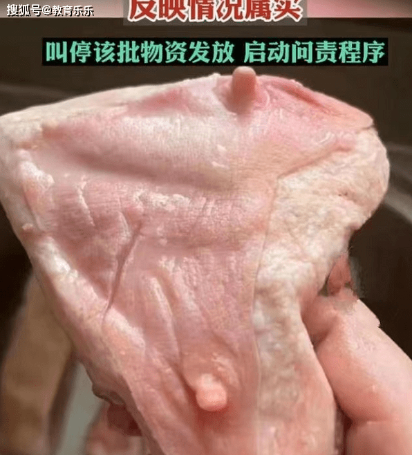 猪乳房肉图片