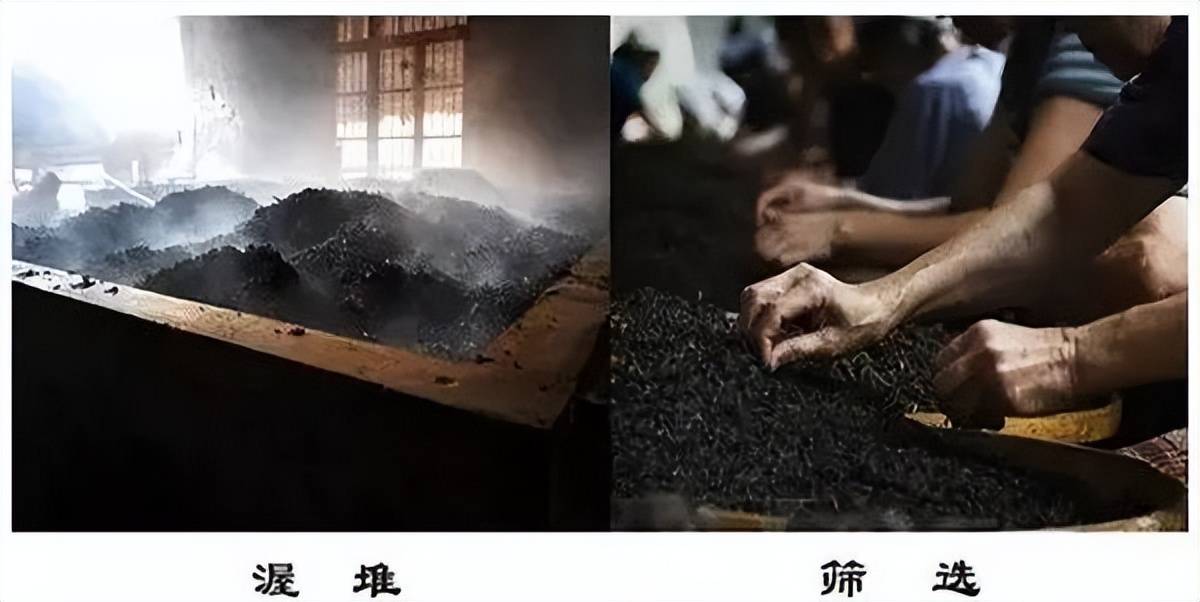 老茶头科普丨不会吧这年头还有人不知道老茶头是什么