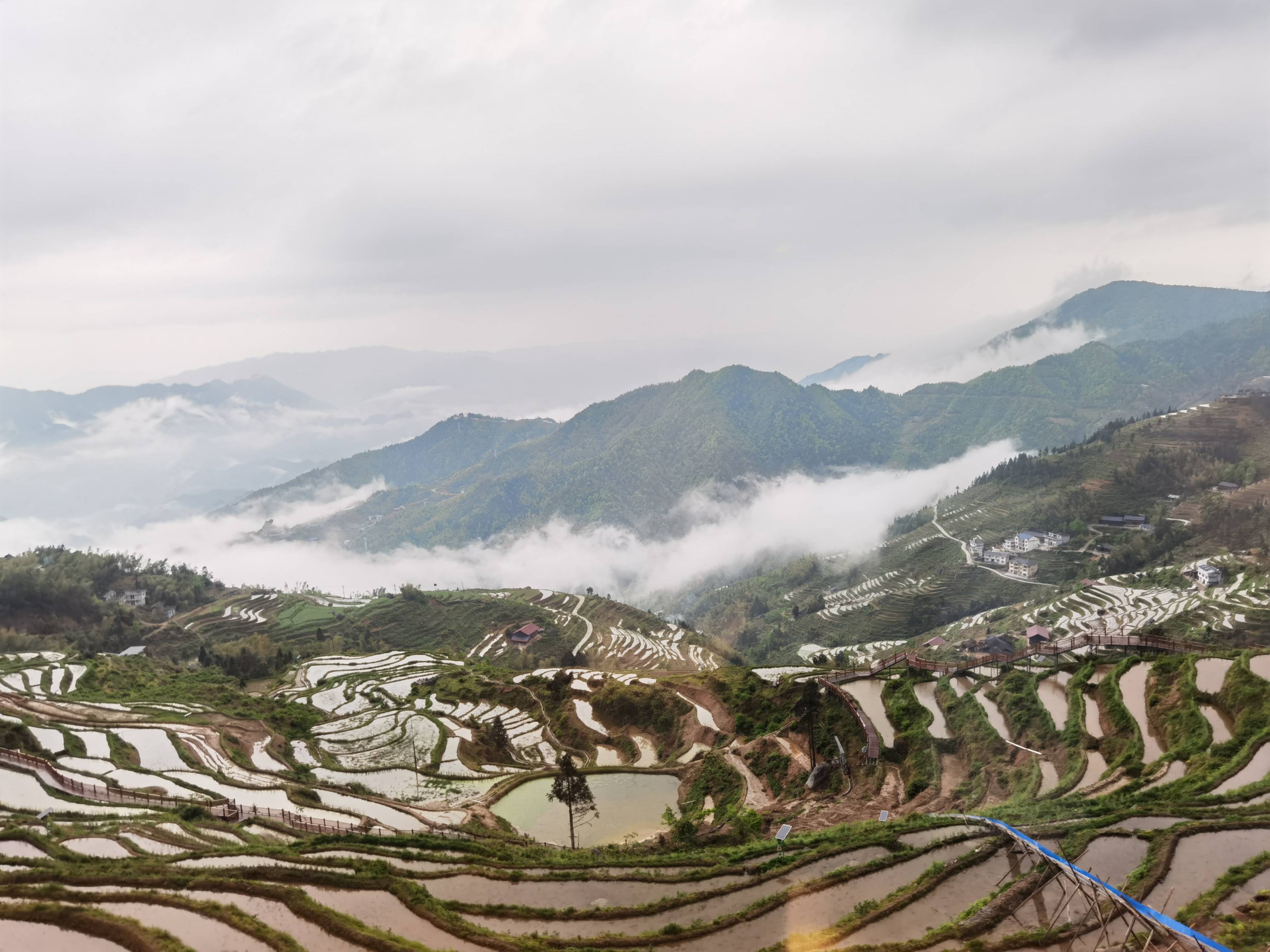 山背梯田春景,艳羡了央媒"老区新貌"采访团的记者们_花瑶_溆浦_雪峰山