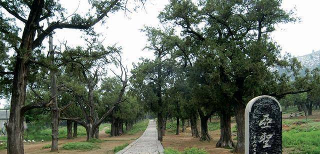 孔子后裔以后能否葬孔林?_袁林_圣人_墓穴