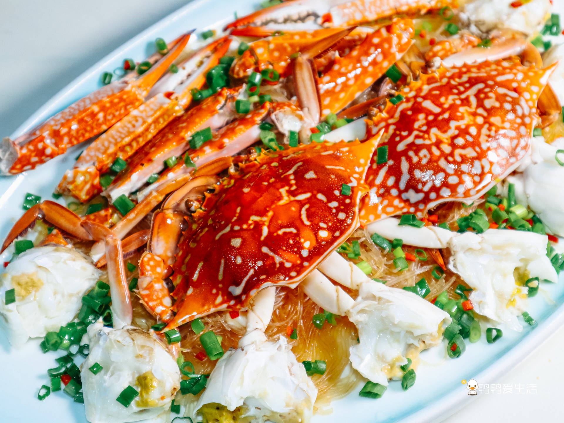 从龙虾帝王蟹到接地气的下酒菜,这家老厦门海鲜排档,来了还想来