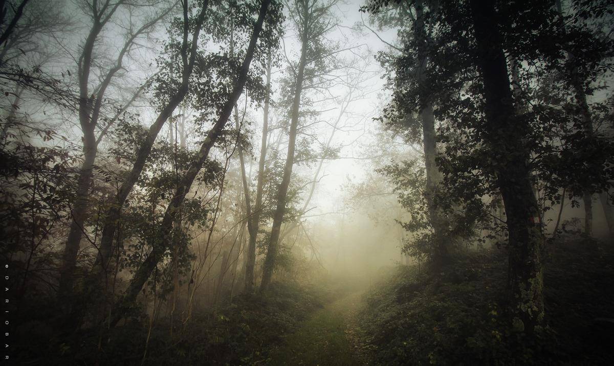 梦境迷雾,解析梦见旅游不顺利的预兆背后的深层含义 梦境迷雾,解析梦见旅游不顺利的预兆背后的深层含义