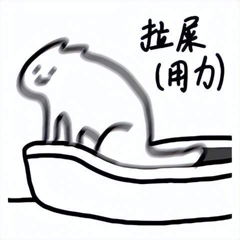 铲屎的我便秘了快帮我3款缓解便秘的产品推荐给你