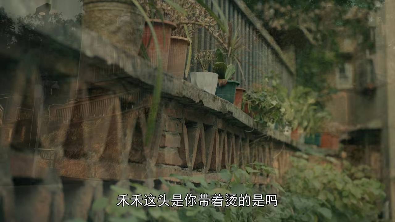 图片[19]-感谢编剧的善良，《亲爱的小孩》比电影版《左右》的结局好太多了-摸鱼儿_词牌名