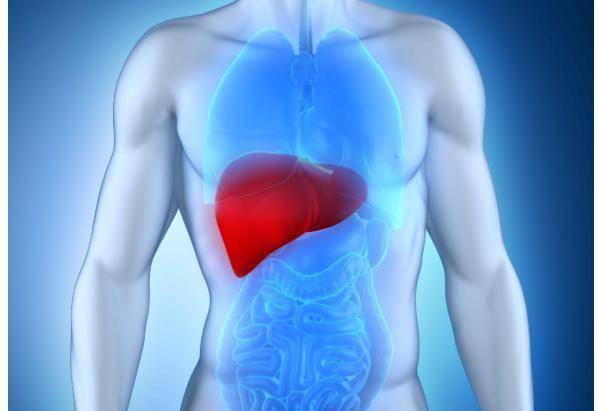 通常情况下,在肝癌早中期,患者轻易不会出现肝脏疼痛症状,因为它和