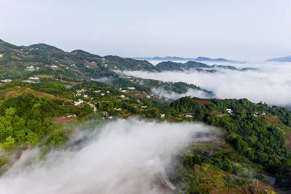 古來雲海茫茫 道山絳闕知何處|永寧八景之漫嶺騰雲_敘永鎮_雲霧_奇峰