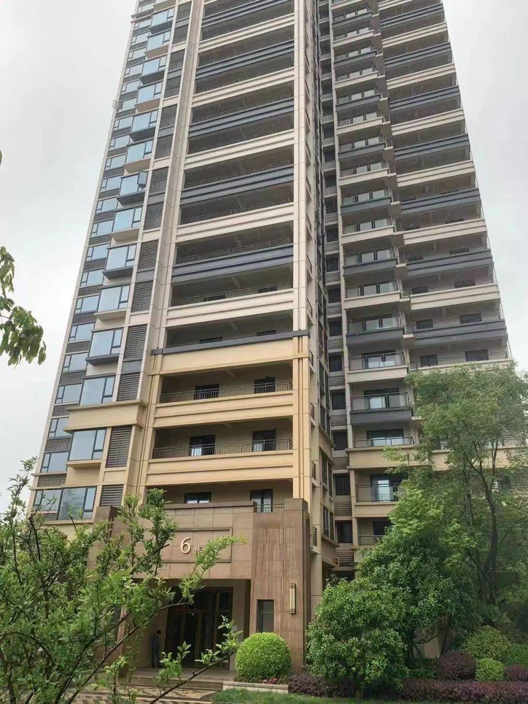 不用摇号成都神盘隆鑫印象东方6号楼将被法拍单价16万起