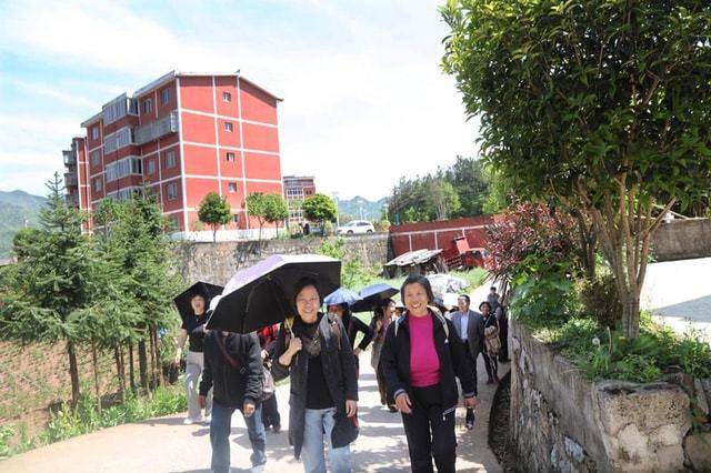 重庆巫山退休教师欢乐在骡坪美丽的茶园景点