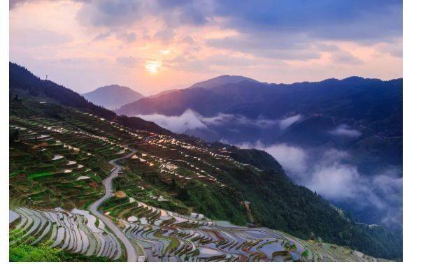 梯田风光当在四月赏_向前_杨松岭_景区