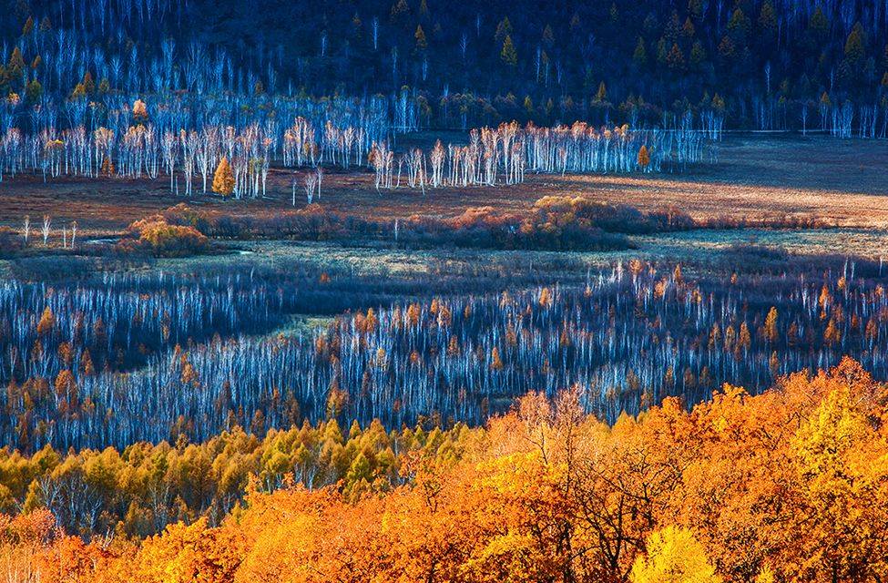 原创中国一座神奇的城市加格达奇大兴安岭地区的首府