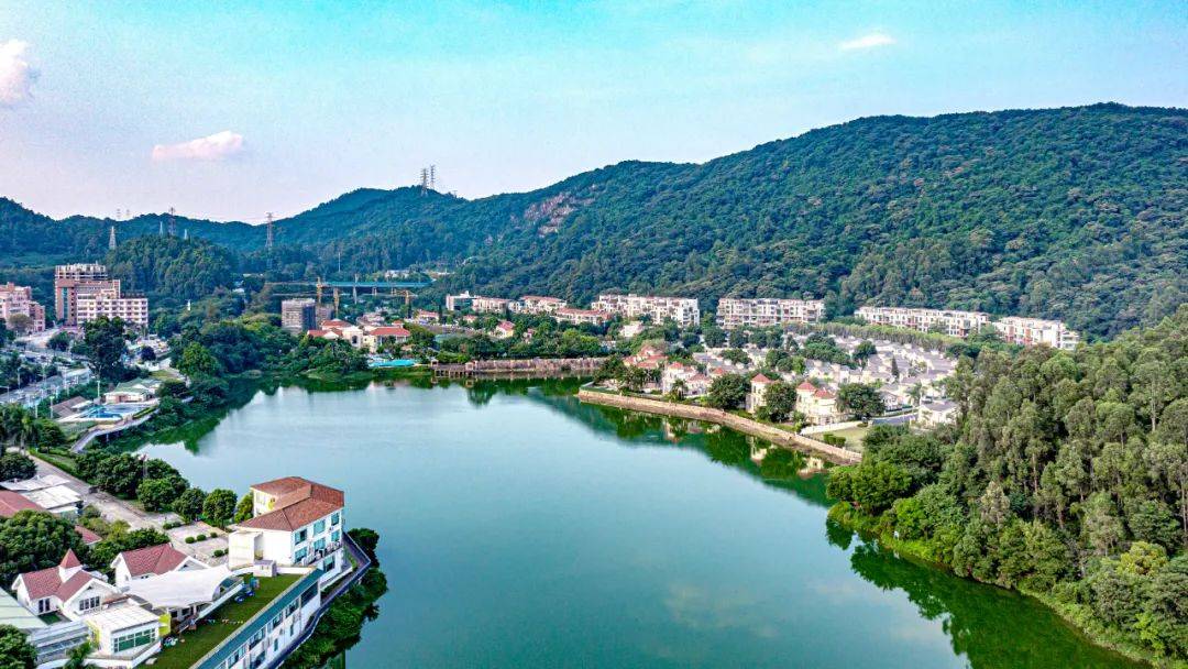 曾错过的"山水"生活,我在市中心看到了._金湖花园_广州_项目