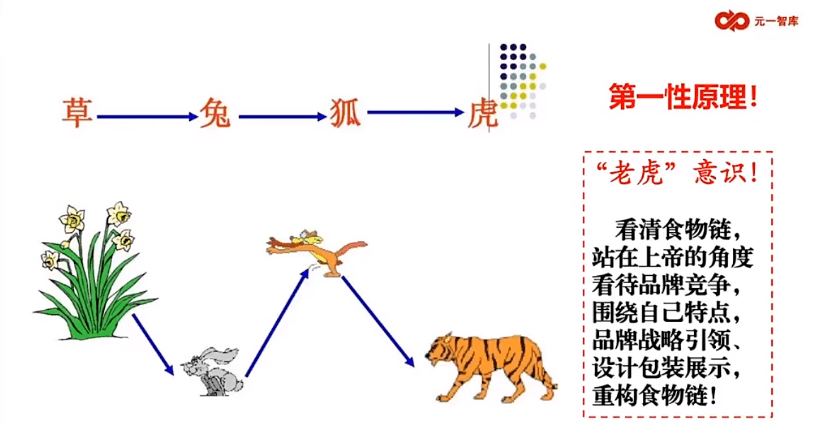 虎的演变过程示意图图片