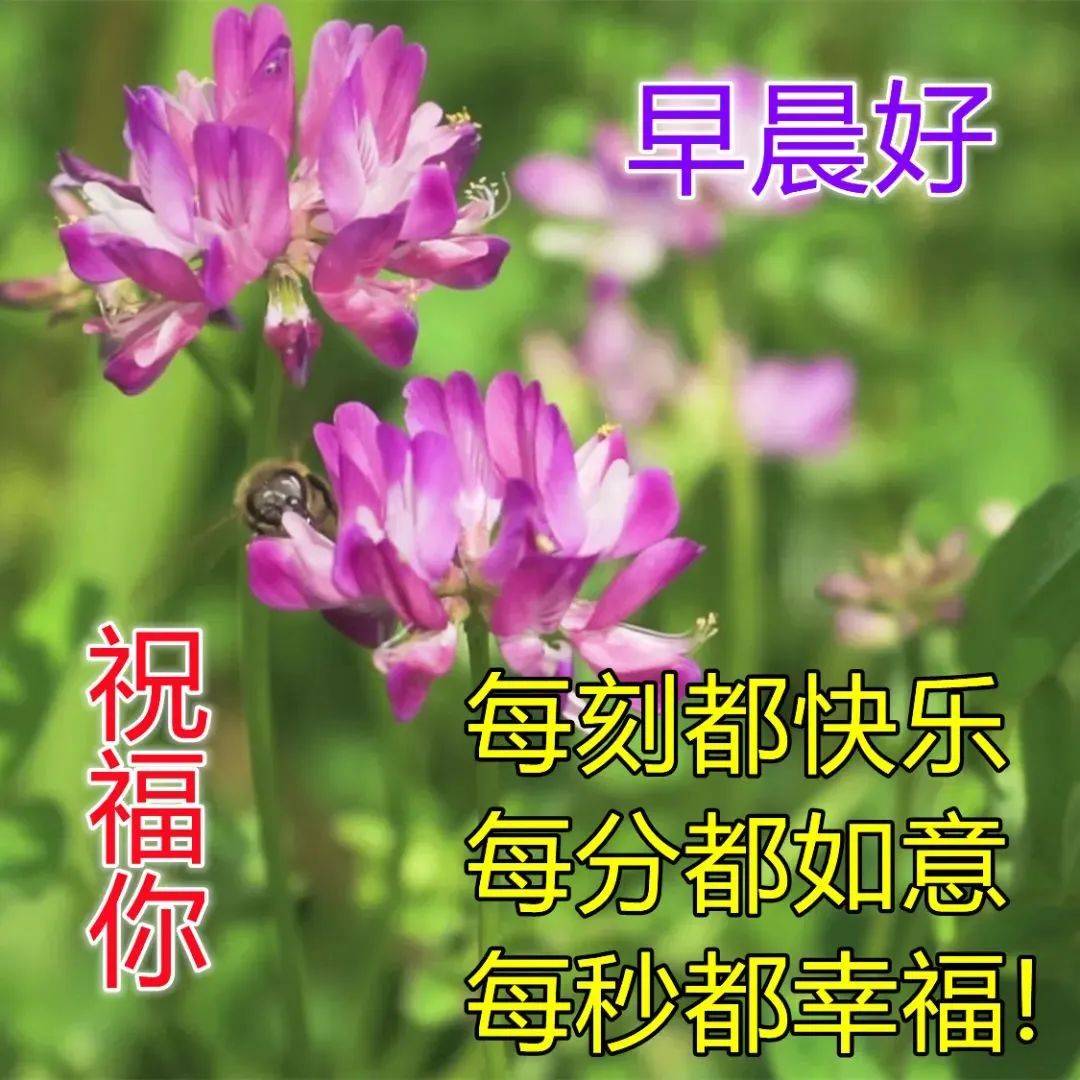 8张最新漂亮春日风景早上好图片 好看的春天风景朋友圈早安问候祝福