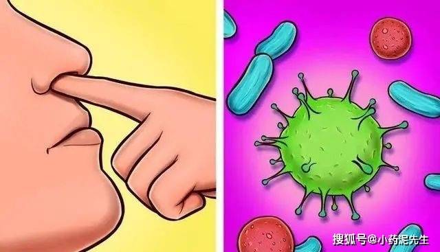 鼻腔_鼻粘膜_细菌