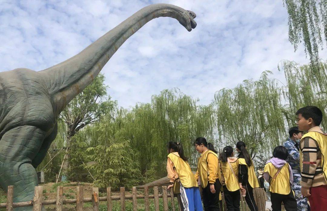 歡度假期 | 濟寧汶上蓮花湖溼地景區嗨翻攻略_樂園_軍事_遊樂