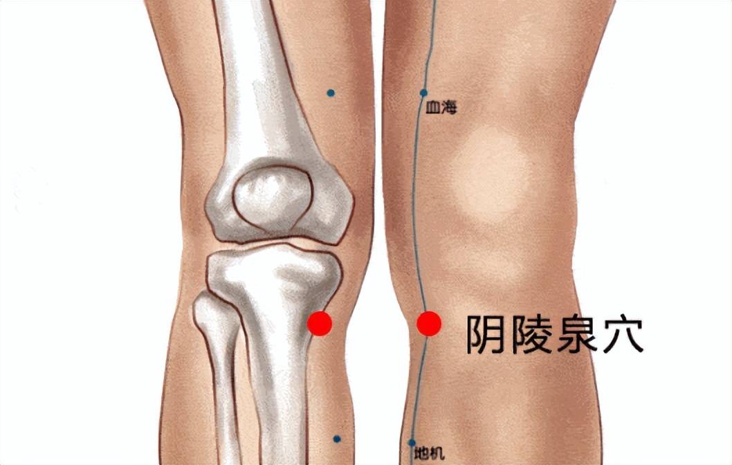 陵就是上坡高的地方丘陵