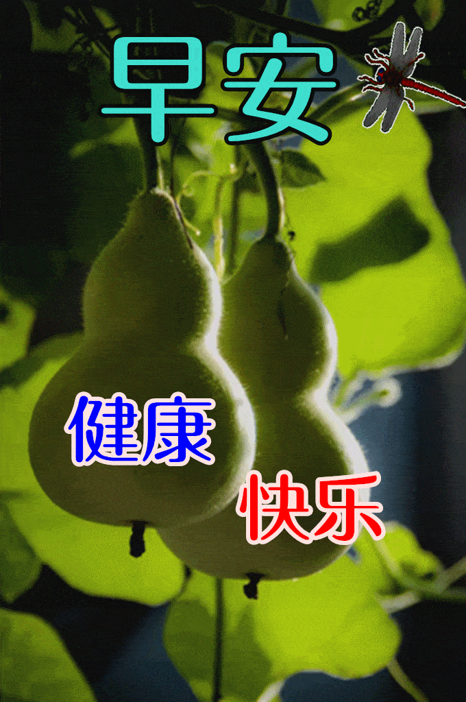 原创428新版微信早安问候语精选朋友微信群发的早晨好祝福话语