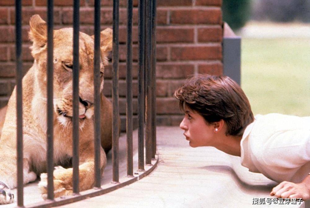 67豹妹一部充满禁忌的b级电影题材大胆场面劲爆