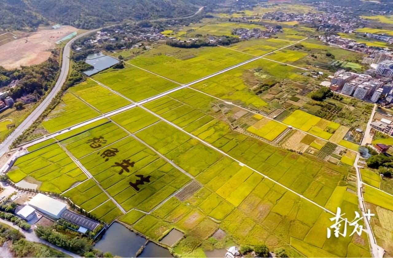 梅州市丝苗米产业园稻鱼共生基地鸟瞰图