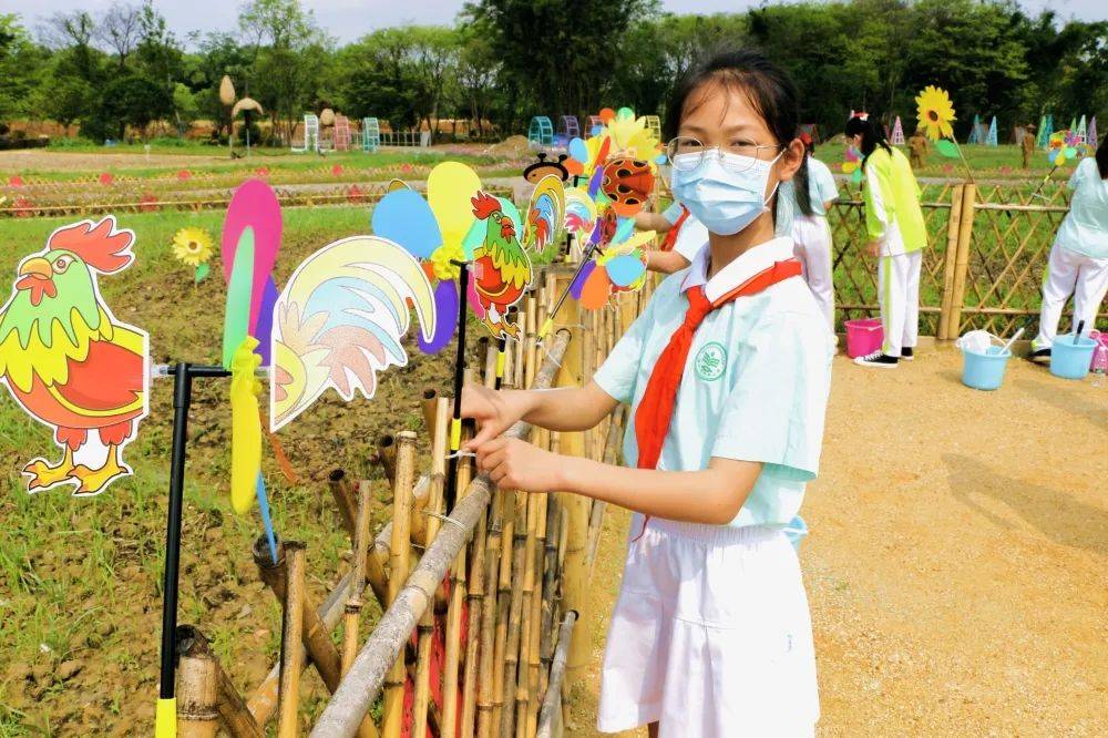 种苗,填土,浇水……像一只只勤劳的小蜜蜂,忙碌地穿梭在田间地头