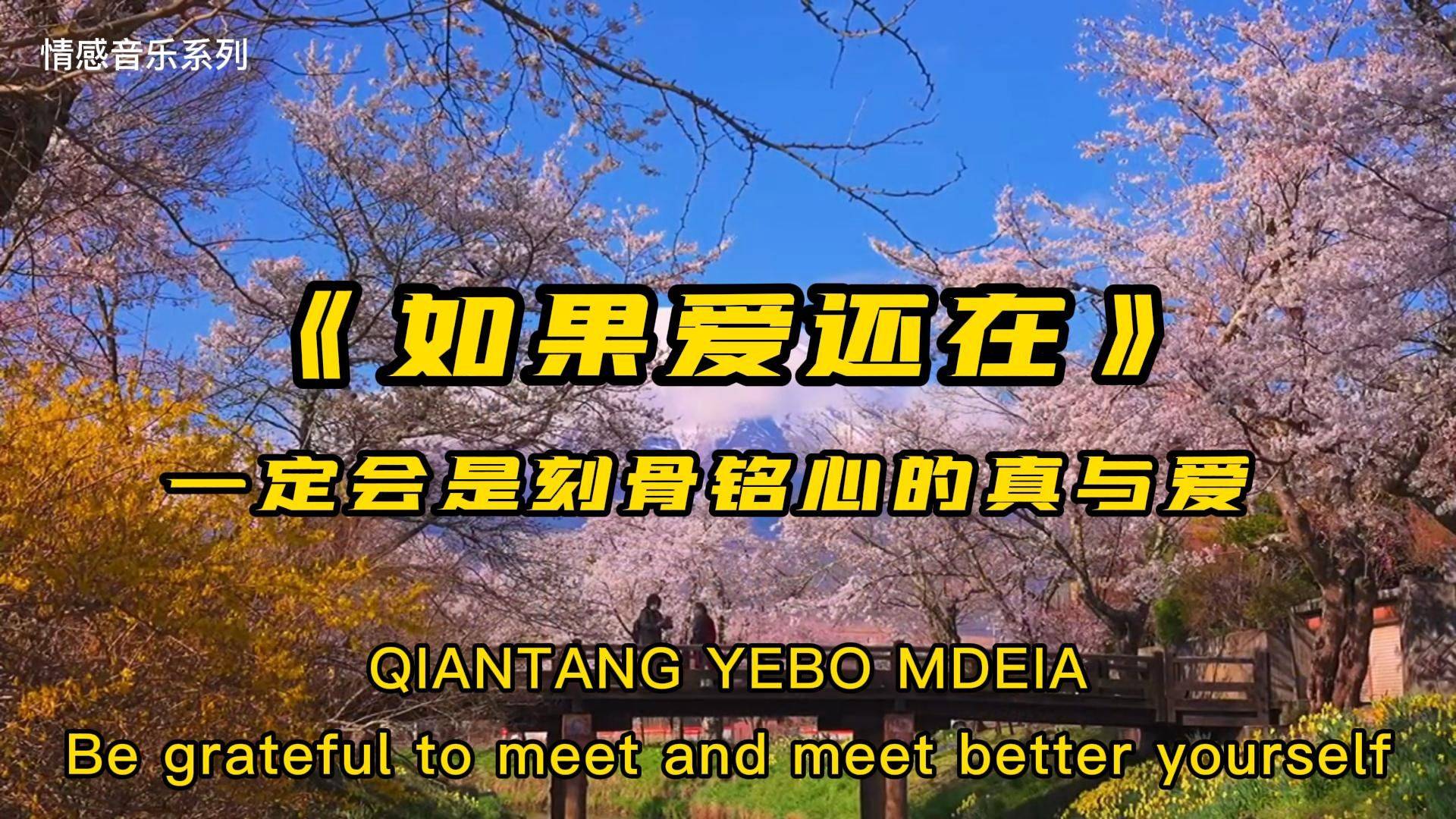 网络热歌如果爱还在歌词入心深情催泪听哭多少痴情人