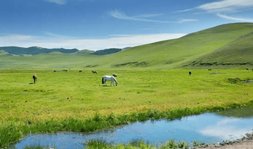 河北一处草原景区，不但风景优美还能体验骑马，可价格却让人担忧
