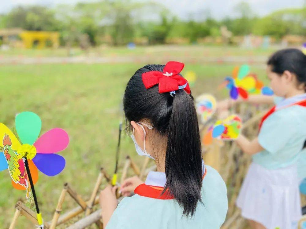 种苗,填土,浇水……像一只只勤劳的小蜜蜂,忙碌地穿梭在田间地头