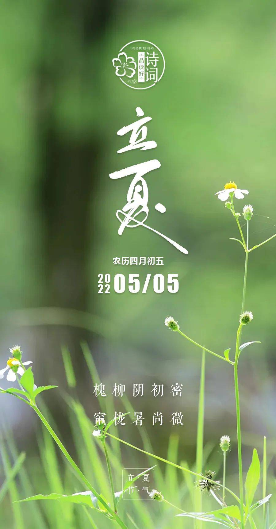 原创美文美图立夏万物生长迎夏而立迎接更好的自己