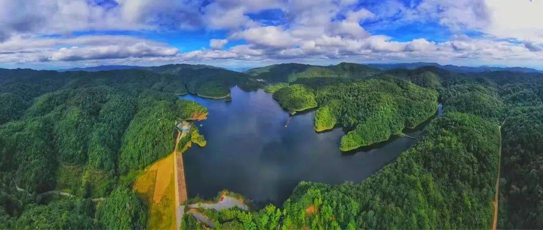 杜鹃湖——这里是你寻梦开始的地方