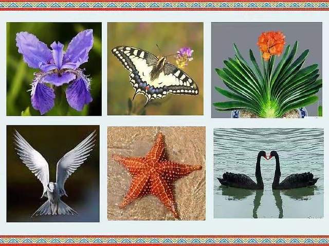 数学中的对称美———浐灞第十二小学三年级数学实践活动_生活_图形