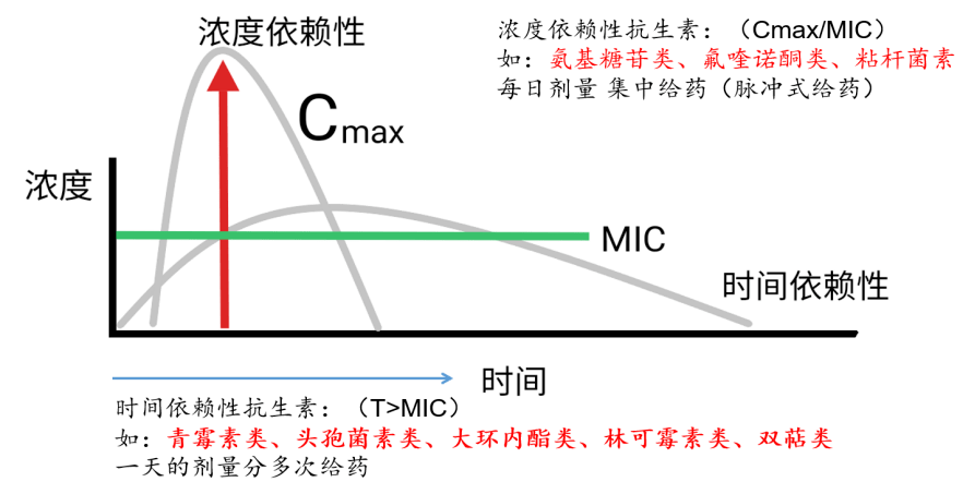 时间依赖型和浓度依赖型,另外很多药物具有抗菌后效应(pae,时间依赖