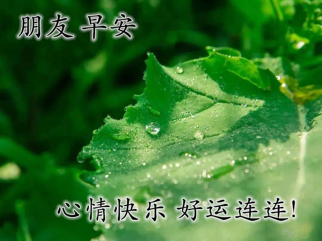 原创8张夏天最新漂亮风景早安图片带字带祝福语最美夏日风景早上好