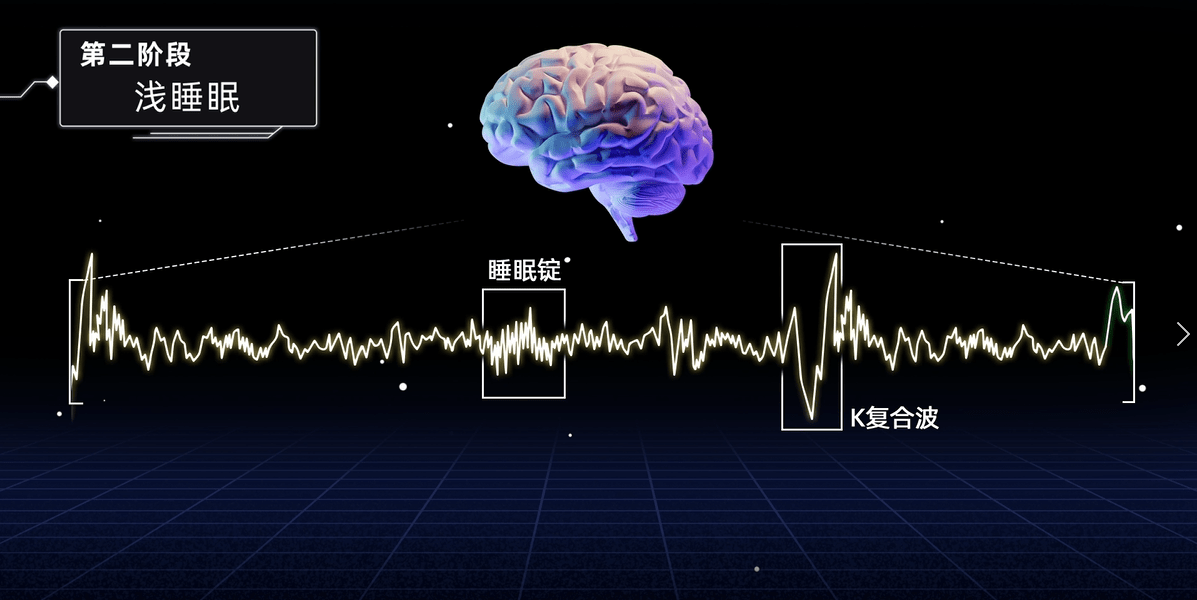 第二阶段进入浅睡眠