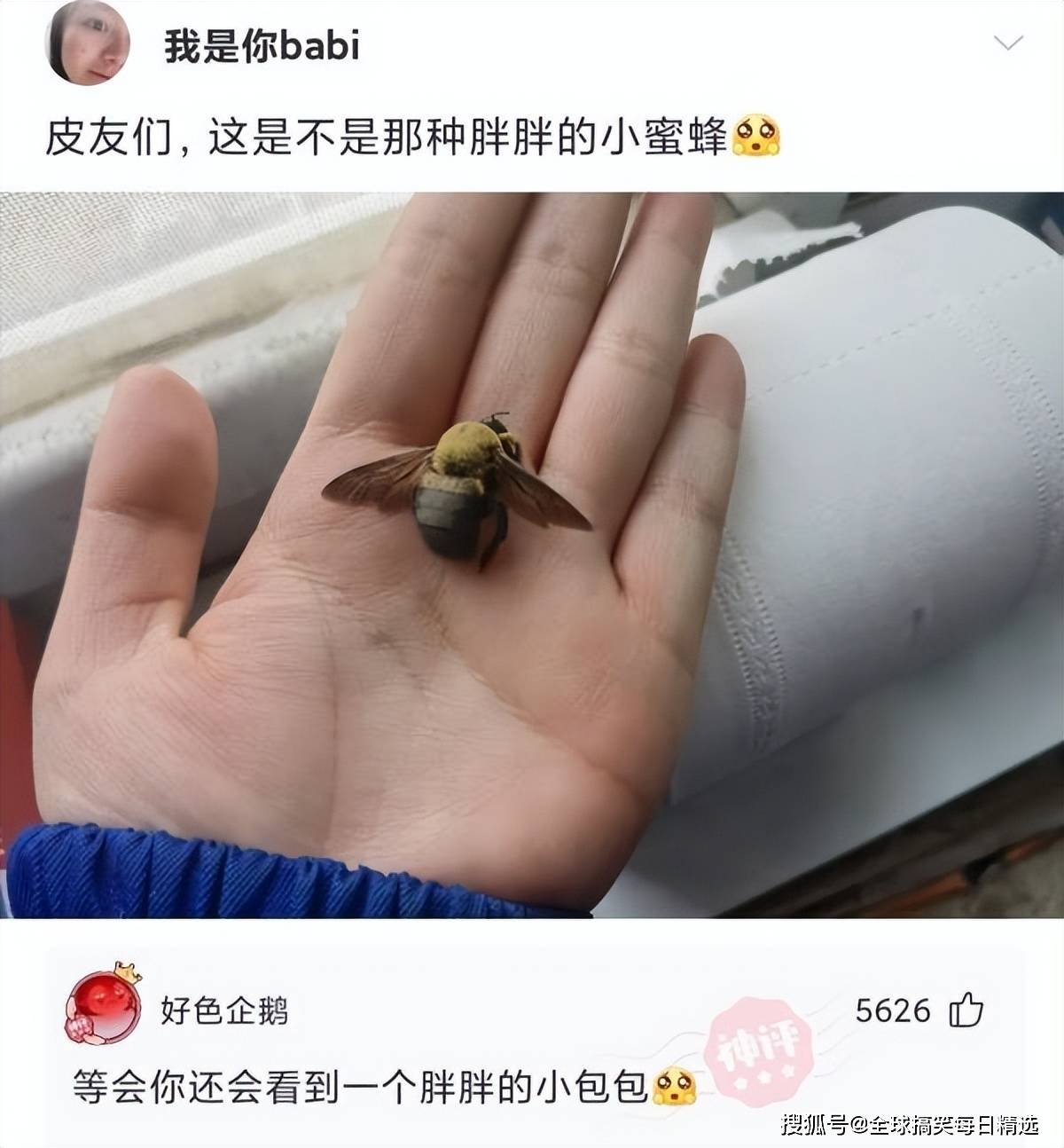 神回复:女友让我手写6万字的情书,怎么写?