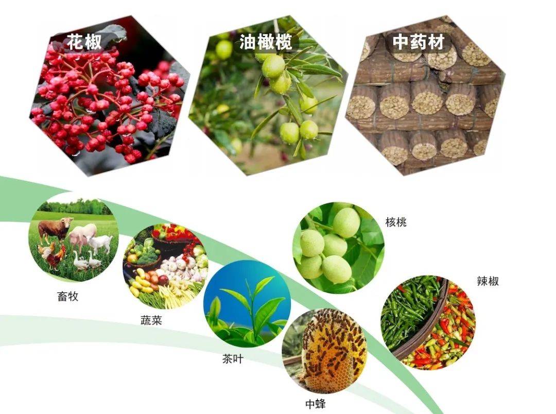 产业概况城市火车(高铁开通后)兰州约3.5小时成都约3.5小时西安约3.