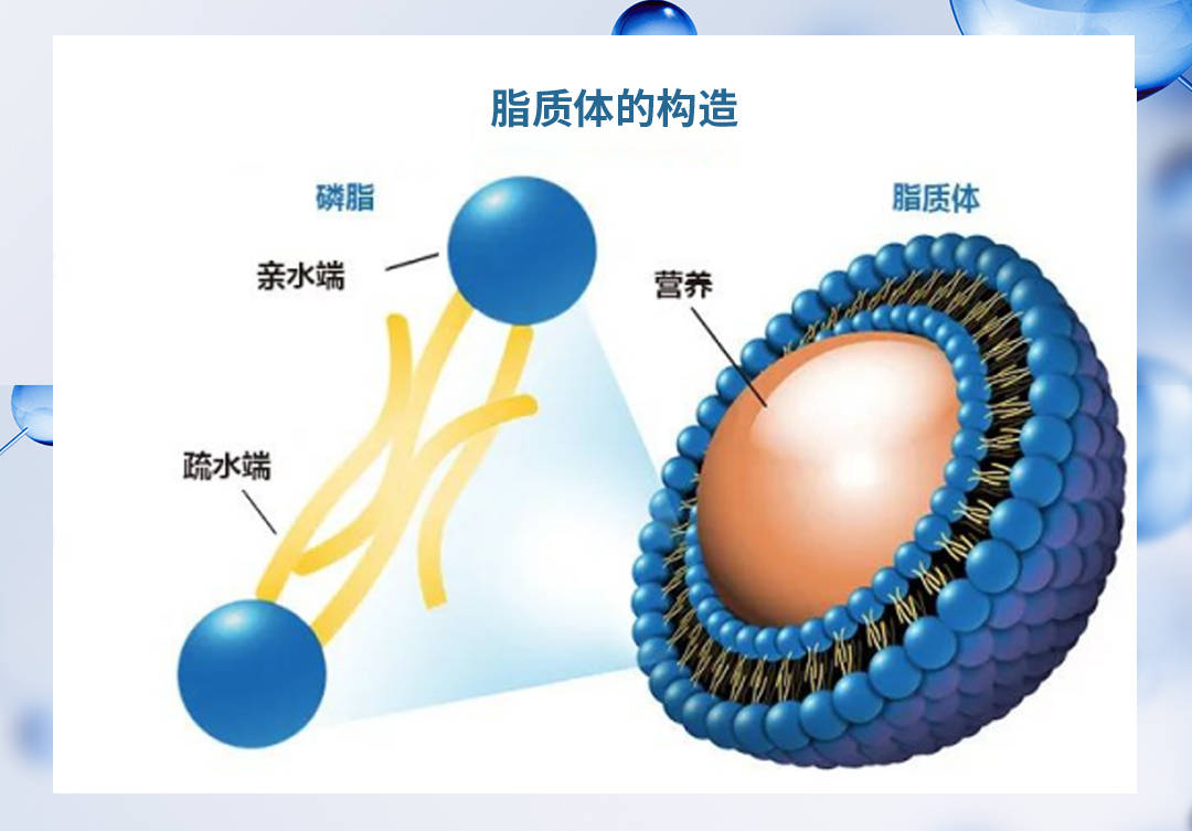 广州蜜妆生物实现护肤科技新突破创新辅酶q10脂质体包裹技术