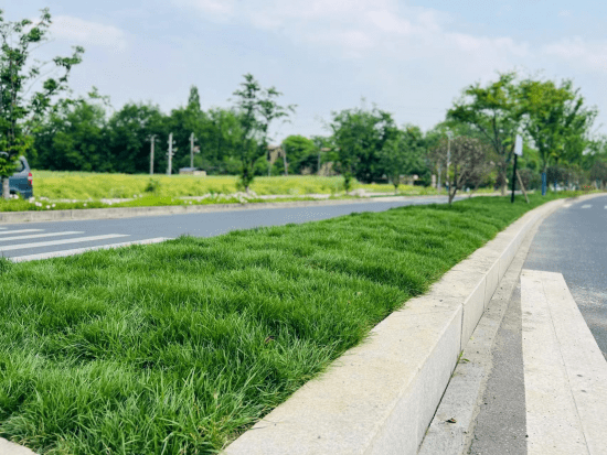 闪亮登场中泰街道焕新颜以点带面纵深打造全新风景线