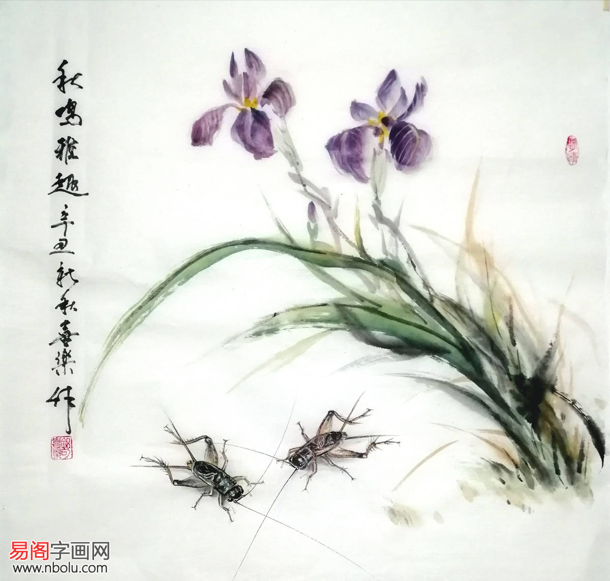 舒喜乐笔下的蟋蟀,兼工带写,既有写意的洒脱,又有工笔的严谨,整体恰到