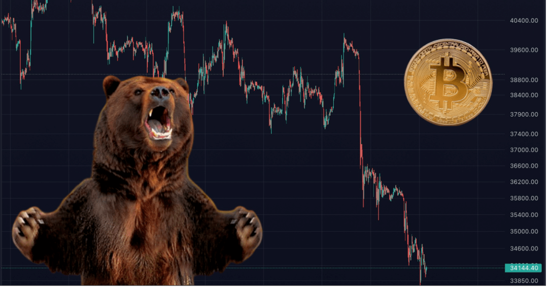 区块链资讯机构称比特币已进入熊市hoo推出solanaweb3专场
